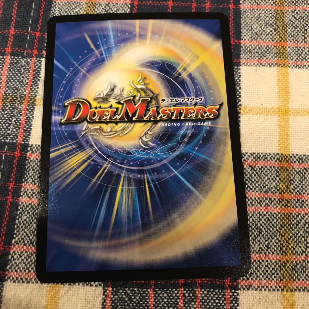 「絶対の楯騎士」