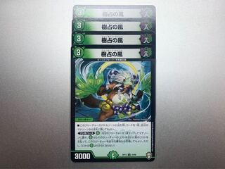 樹占の風　フォーチュンウインド