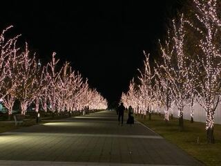 ドラゴンボールヒーローズ