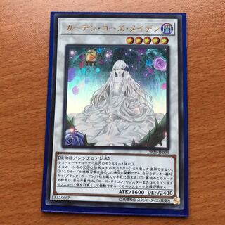 ガーデン・ローズ・メイデン UR