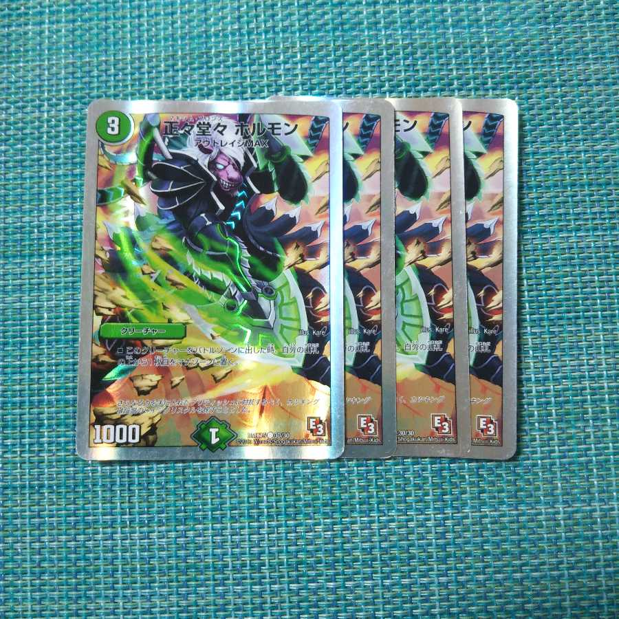 正々堂々 ホルモン ４枚セット