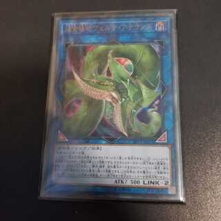 捕食植物ヴェルテ・アナコンダ UR