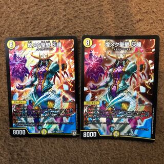 煌メク聖壁 灰瞳