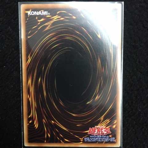 「未使用美品」武力の軍奏 17PR-JP009 ノーパラ