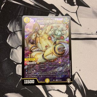 「絶対の楯騎士」