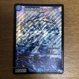 水上第九院 シャコガイル