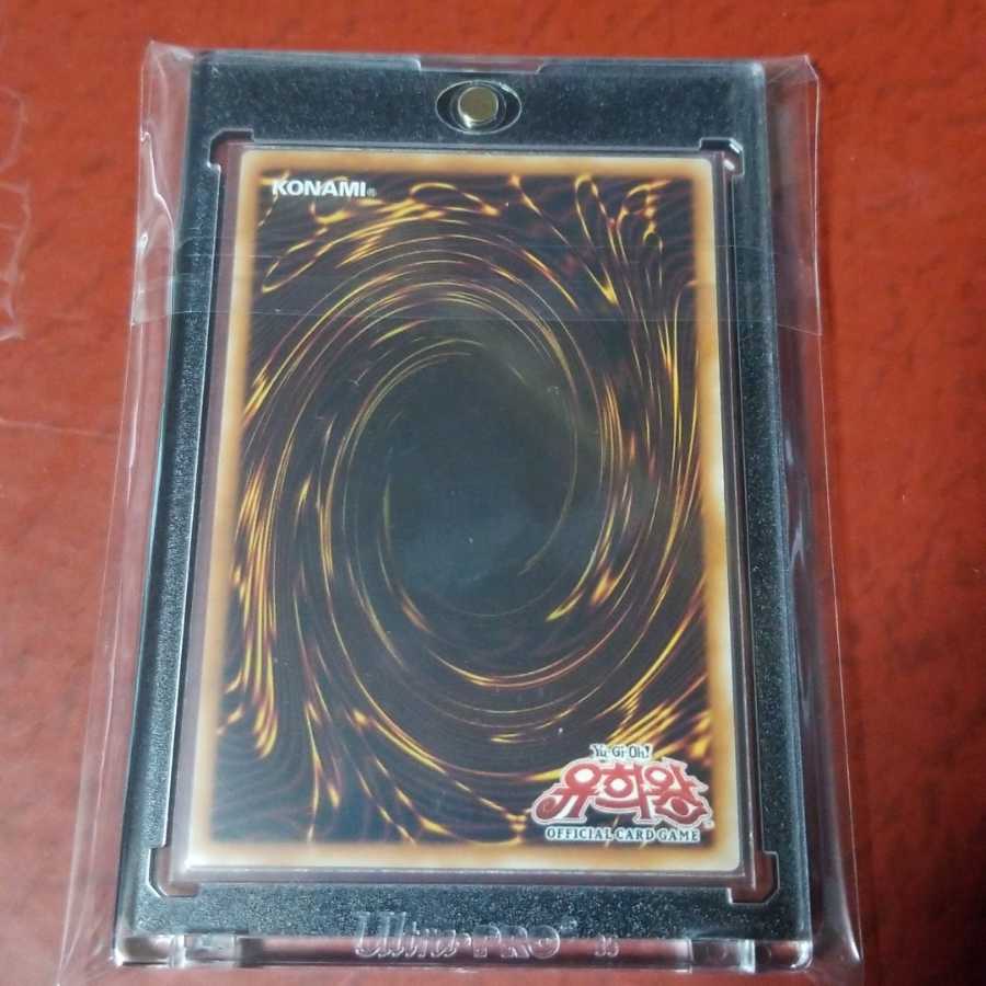 Ove Squirrel Ku Prismatic