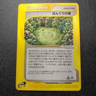 Bonguri no Forest Pokémon Card e