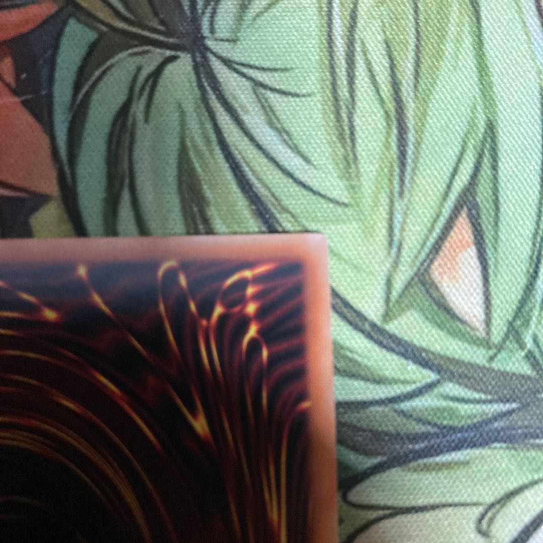 竜騎士ブラック・マジシャン・ガール(イラスト違い版) プリシク