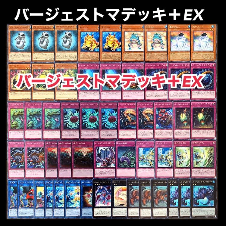 遊戯王　バージェストマ　デッキ