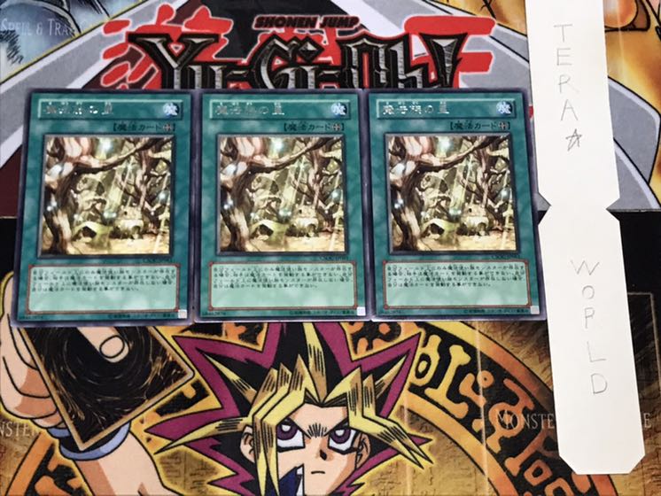 魔法族の里 レア 3枚セット てら