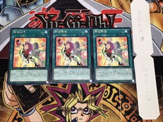 錬装融合 レア 3枚セット てら