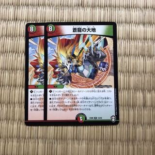 fizz様専用　蒼龍の大地　２枚