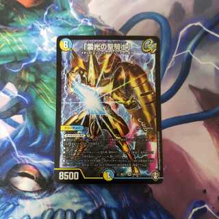 「雷光の聖騎士」