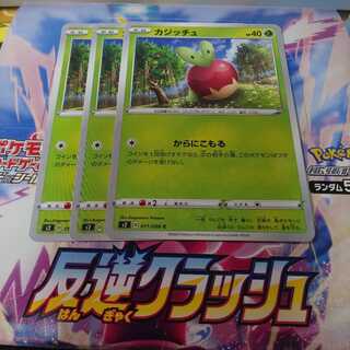 カジッチュ 3枚