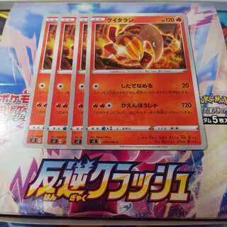 クイタラン 4枚