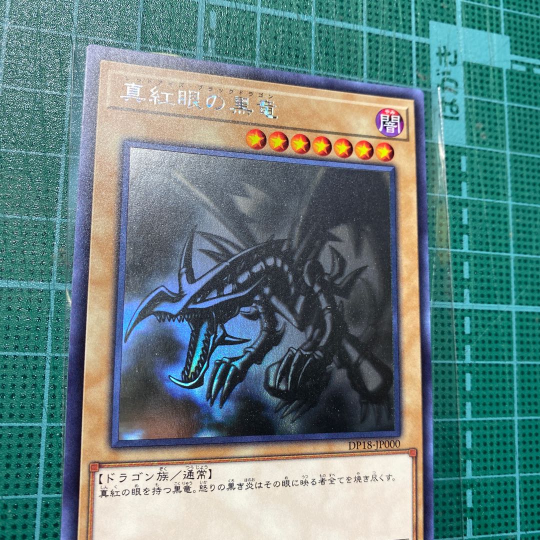 真紅眼の黒竜 ホロ