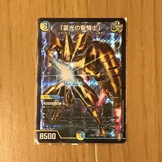 「雷光の聖騎士」