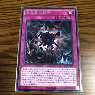 真竜皇の復活 R