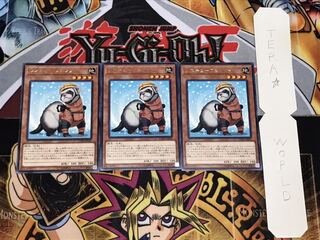 レスキューフェレット レア 3枚セット てら