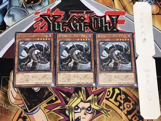 雷電龍-サンダー・ドラゴン レア 3枚セット てら