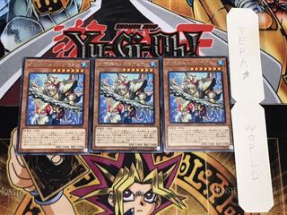 水精鱗-メガロアビス レア 3枚セット てら