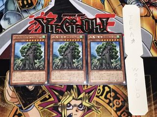 森羅の賢樹 シャーマン レア 3枚セット てら