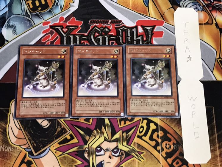 Magicat Rare, set of 3, Tera.