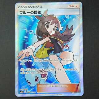 19586　ブルーの探索　SR