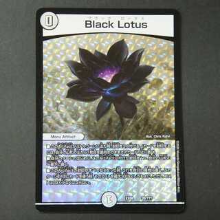 19588　ブラックロータス Black Lotus