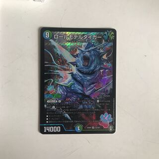 ロールモデルタイガー