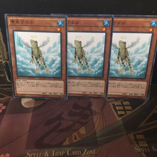 Anglerfish Treeborn Frog 3pcs para