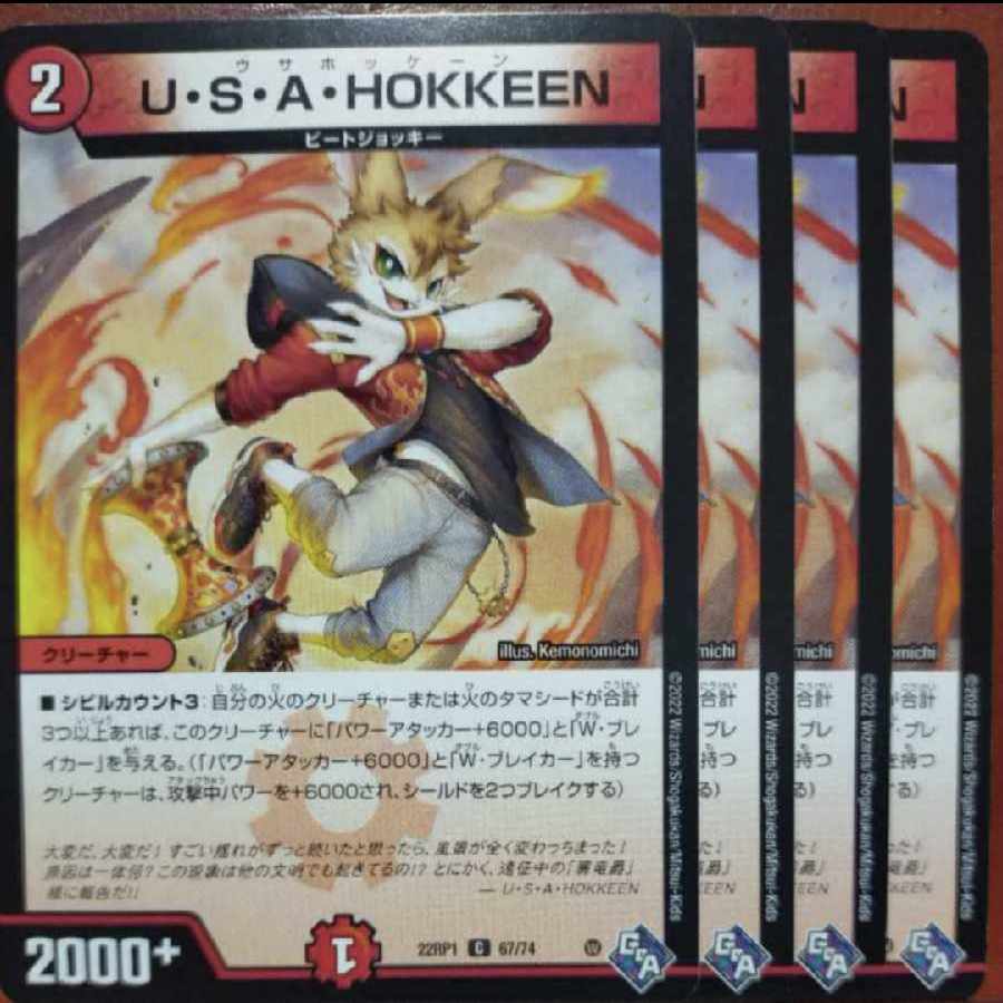 goaセット割引 U・S・A・HOKKEEN C 67/74