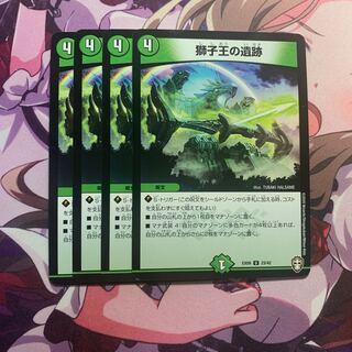 獅子王の遺跡　4枚