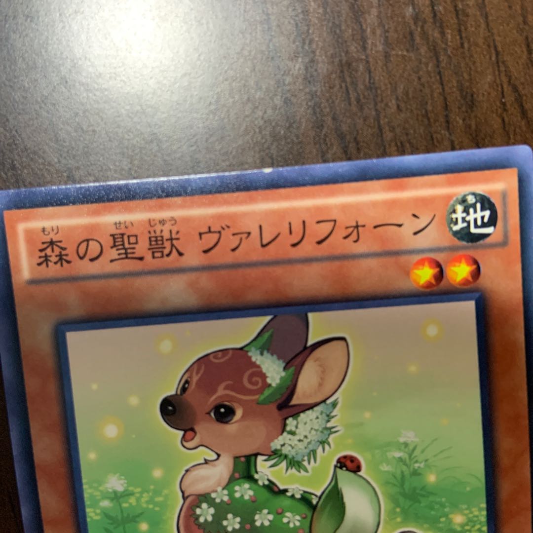 専用 森の聖獣 ヴァレリフォーン N 3枚セット