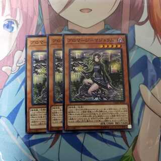 アロマージ-マジョラム