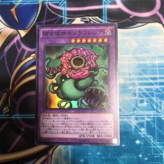 遊戯王 捕食植物キメラフレシア 1枚