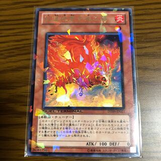 紅蓮地帯を飛ぶ鷹 R