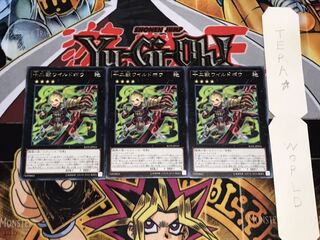 十二獣ワイルドボウ レア 3枚セット てら