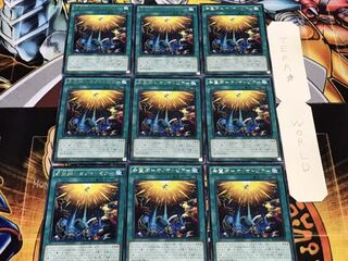 希望郷-オノマトピア- レア 9枚セット てら