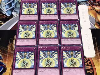 竜星の九支 レア 9枚セット てら