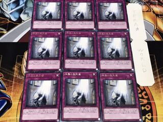 神属の堕天使 レア 9枚セット てら