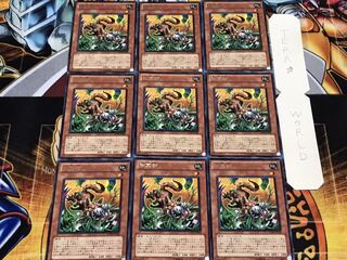 除草獣 レア 9枚セット てら