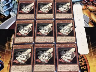 破壊剣士の伴竜 レア 9枚セット てら