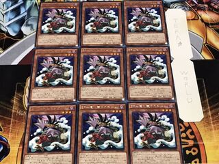 BF-隠れ蓑のスチーム レア 9枚セット てら