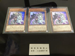 ワルキューレ・シグルーン ３枚