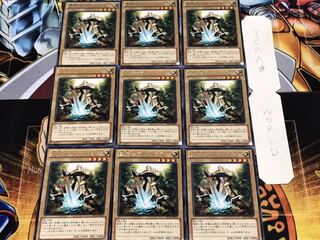 聖騎士アルトリウス レア 9枚セット てら