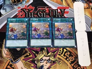 化石調査 ノーマルパラレル 3枚セット てら