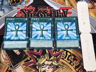 死者蘇生 ノーマルパラレル 3枚セット てら