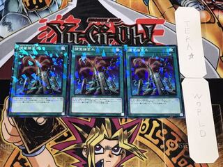 捕食接ぎ木 ノーマルパラレル 3枚セット てら